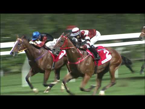 10/11/2021 (164) Sight Success - V Borges