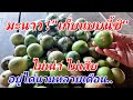 วิธี