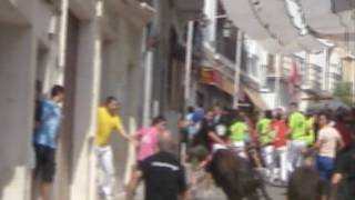 Año 1 (www.ElSurACuerpoLimpio.es)