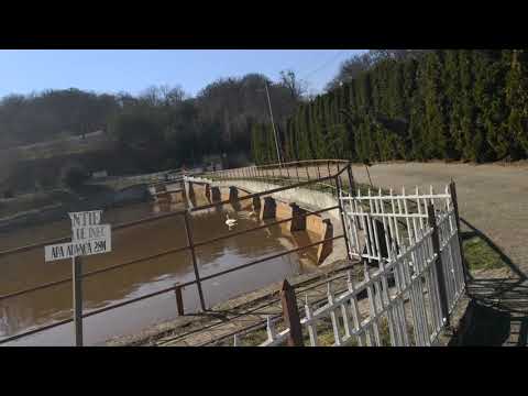 filmare interioara (gradina botanica jibou)(1)