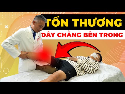 Đau Dây Chằng Gối Bên Trong Không Thể Đi Lại? Cách Chữa Dứt Điểm