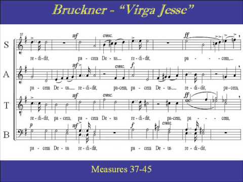 Bruckner Virga Jesse Bass 2 Score
