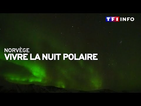 Vivre sans soleil durant des mois : comment les Norvégiens s'adaptent à la nuit polaire