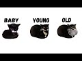 Maxwell Cat But He Lived All His Life