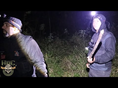 THE CREATURE BEHIND THE HOUSE WHERE THE WOMAN WAS MURDERED IS REAL - AREA UNKNOWN