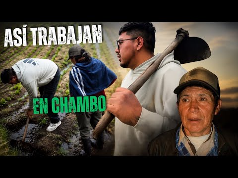 "Volviendo a mis raíces - Chambo 
