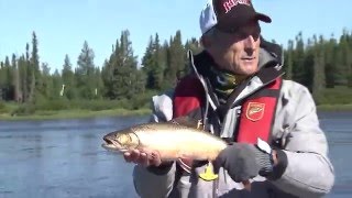 Blue Fox Vibrax Bullet Fly 1 WBW 5 g