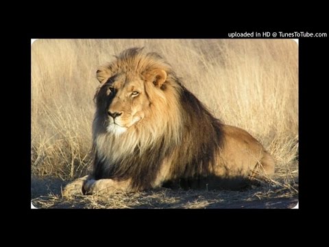 Creepy the king - "SUPER SKUNK'' ANB VERANEO SOUND 2016