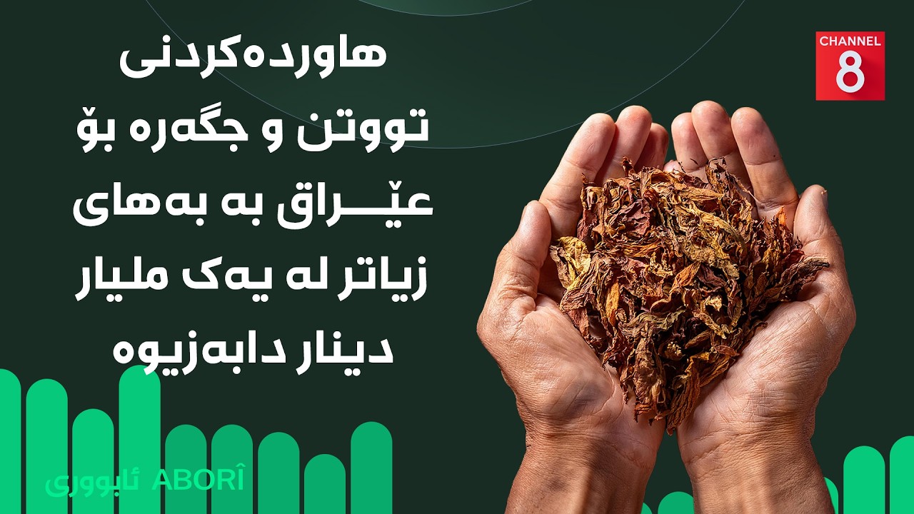 ڤیدیۆ | ئابووری - هاوردەکردنی تووتن و جگەرە بۆ عێراق بە بەهای زیاتر لە یەک ملیار دینار دابەزیوە