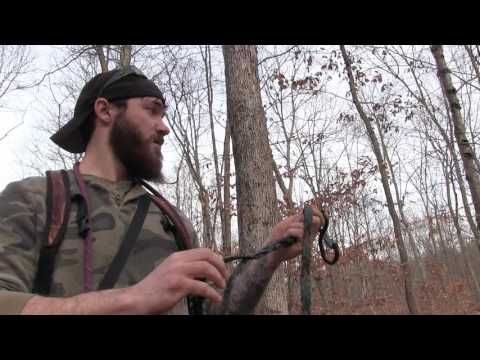 download lagu mp3 mp4 Aider, download mp3 Aider free download, download mp3 Aider