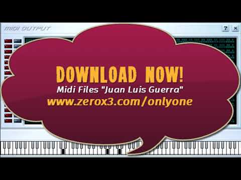 25 Horas Al Dia - Juan Luis Guerra