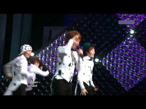 Dalmatian - Round 1 (Sep,11,10)