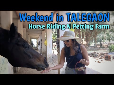 download lagu mp3 mp4 Japalouppe Equestrian Centre Talegaon, download lagu Japalouppe Equestrian Centre Talegaon gratis, unduh video klip Japalouppe Equestrian Centre Talegaon