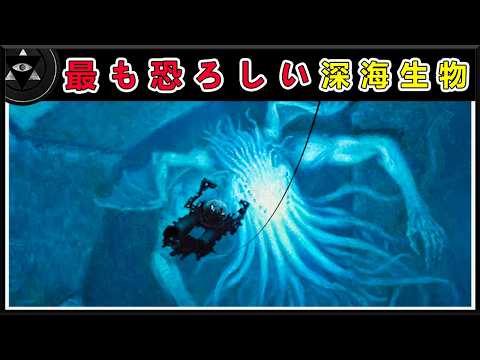 深海発見:研究者らは海底約2,500メートルでこれを発見した。