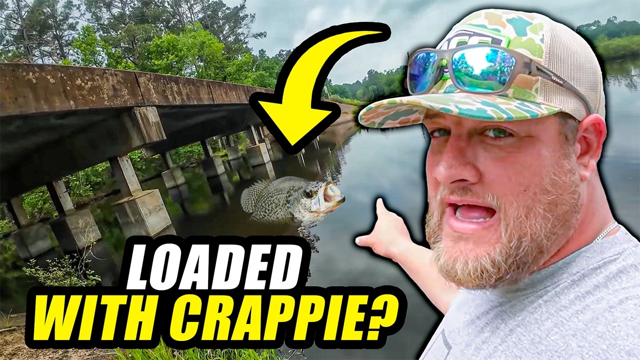 A Google Maps Pin and a Slip Cork: Roadside Crappie Done Right