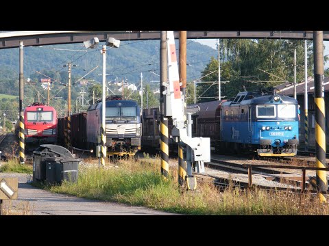 Hrbatka odjíždí z nákladní stanice Děčín Východ