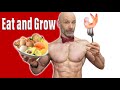 Best Foods For Muscle And Strength More Than Protein