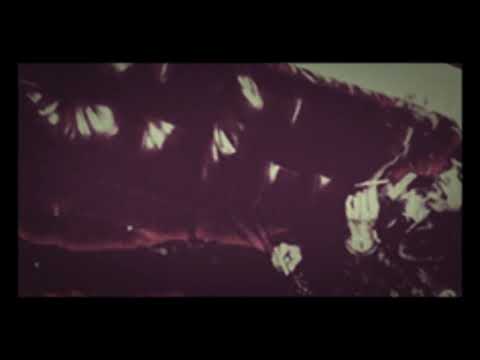 Willz Stylemeda x Talkin spicy (Meda Mix)