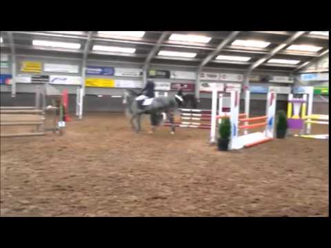 (Sold Canada) Mare, born 2009 by Arezzo VDL x Quinar