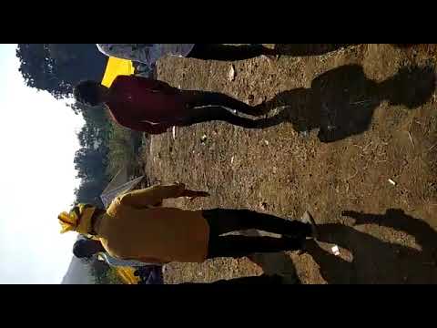 Jango bai darsangvi 2022