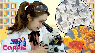 현미경으로 할 수 있는 신기한 실험 | 보이지 않는 세계 | 캐리 사이언스 랩