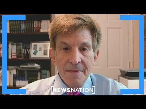 Allan Lichtman：小肯尼迪的支持將損害特朗普的競選 | 美國晨報 (Allan Lichtman: RFK Jr. endorsement will harm Trump’s campaign | Morning in America)