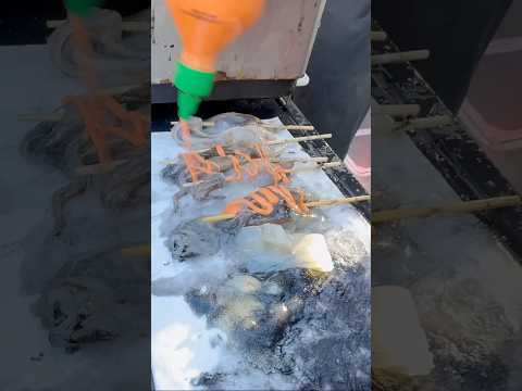 Catch and Cook Calamari!!