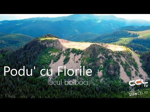 Podul cu Florile - lacul si barajul Bolboci : drona: Mavic Air GoPro Hero 5