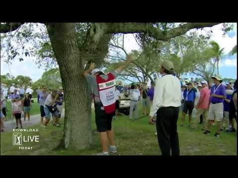 Golf Rules - Moving a loose impediment www.golfisanattitude.com