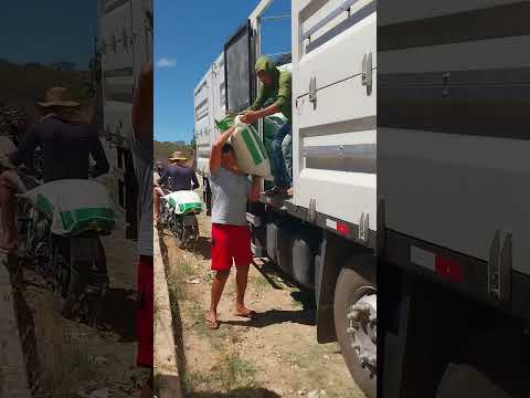 Olha que turma boa, meu amigo Dão, Luiz Otávio, Kaique. São José de Caiana PB.