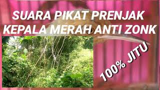 Download lagu SUARA PIKAT PRENJAK KEPALA MERAH ANTI ZONK 100% JITU mp3