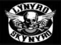 Lynyrd Skynyrd I`ve Been Your Fool