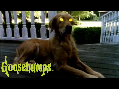 Thumbnail of the video: Theme Song