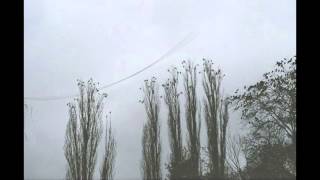 Vikki Jackman - Wrapped in Whitenesses
