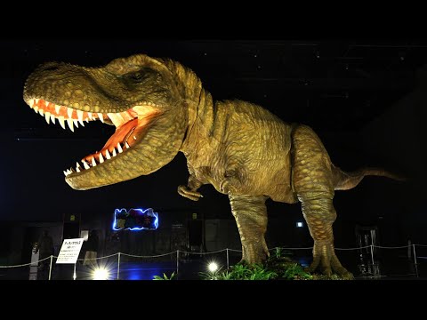 迫力満点　ティラノサウルスが獲物を探し、威嚇する　実物大ロボが圧倒　姫路で大恐竜博