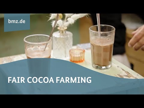 There's plenty of joy in chocolate - but there’s no money in cocoa