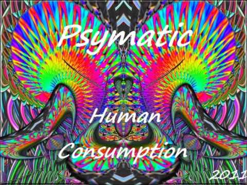 Psymatic - Music is the Drug
