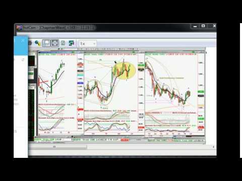 June 15th Tiger Technicians Hour with Basil Chapman on TFNN - 2016