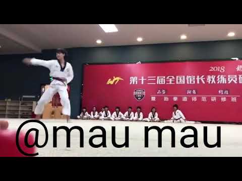 WEN ZHI TEAM LONG YING.TKD