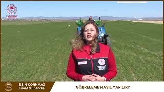 Üst Gübrelemede Üre ve Nitrat Kullanımı: Ne Zaman ve Nasıl Uygulanmalı?