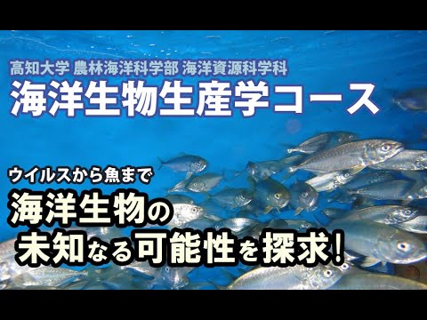 海洋生物生産学コース（海洋資源科学科）