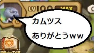 【サマナーズウォー】召喚時に抱く感情がこれまでとは違うものになったとの理由でバチの仕様がもとに戻ってしまったｗｗｗｗｗｗｗｗ