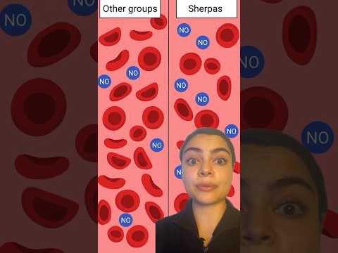 Why sherpas are superhuman climbers #humanbody