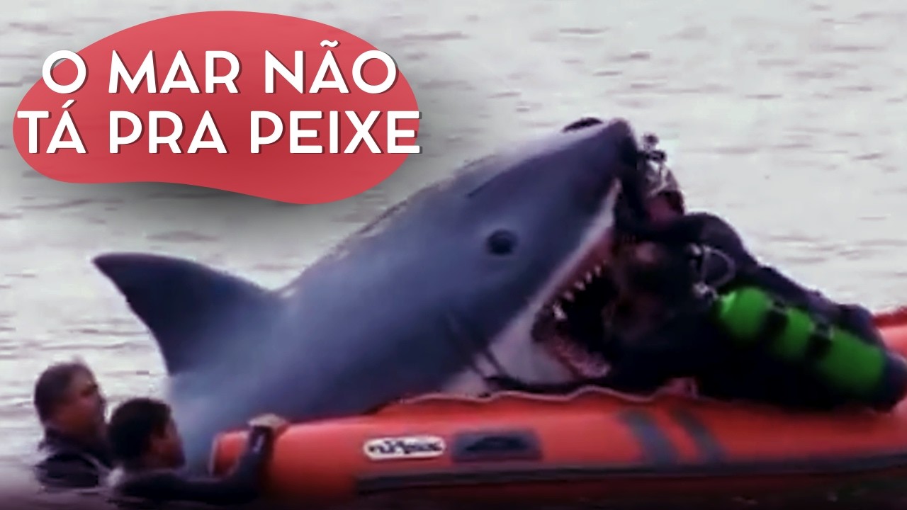ESSE BABY SHARK ESTÁ DIFERENTE! | CÂMERAS ESCONDIDAS