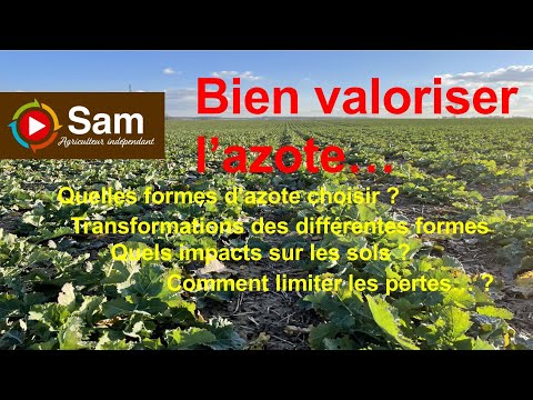 Comment bien valoriser l'azote ?