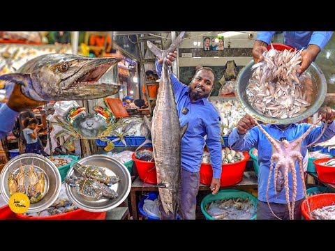Biggest Sea FIsh Market In Delhi l Delhi Street Food