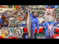Biggest Sea FIsh Market In Delhi L Delhi Street Food