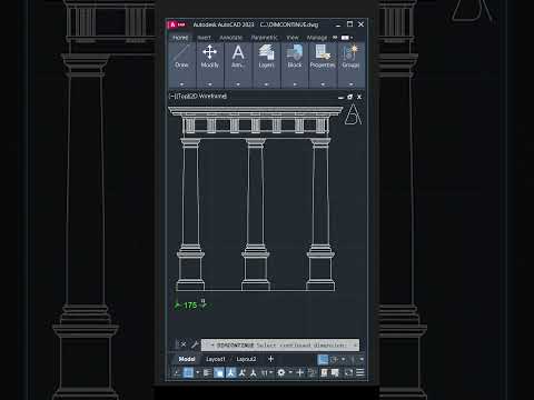 Intermediate To Advanced AutoCAD architecture floorplan architect