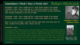 Sometimes I Wish I Was a Pretty Girl - Robyn Hithcock