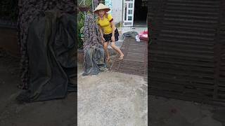 Download lagu daily life 🥰🥰🥰 mp3